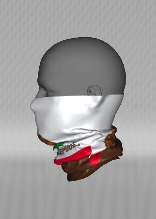 IT&B California State Flag Neck Warmer