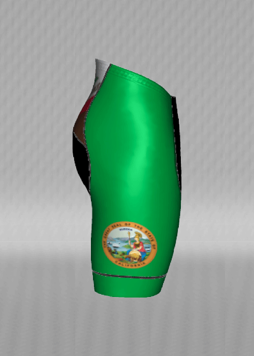 IT&B California State Flag Shorts