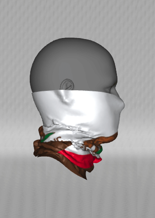 IT&B California State Flag Neck Warmer